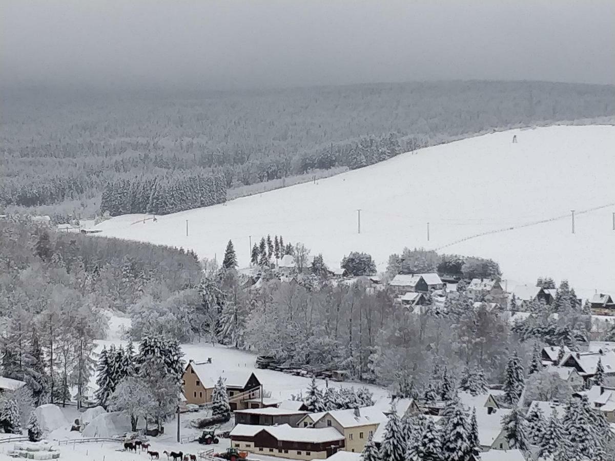 Ferienwohnung Bimmelbahn-Blick Neudorf  Bagian luar foto